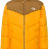 Outdoorbekleidung The North Face Men's Saikuru Jacketsummit gold/utility brown