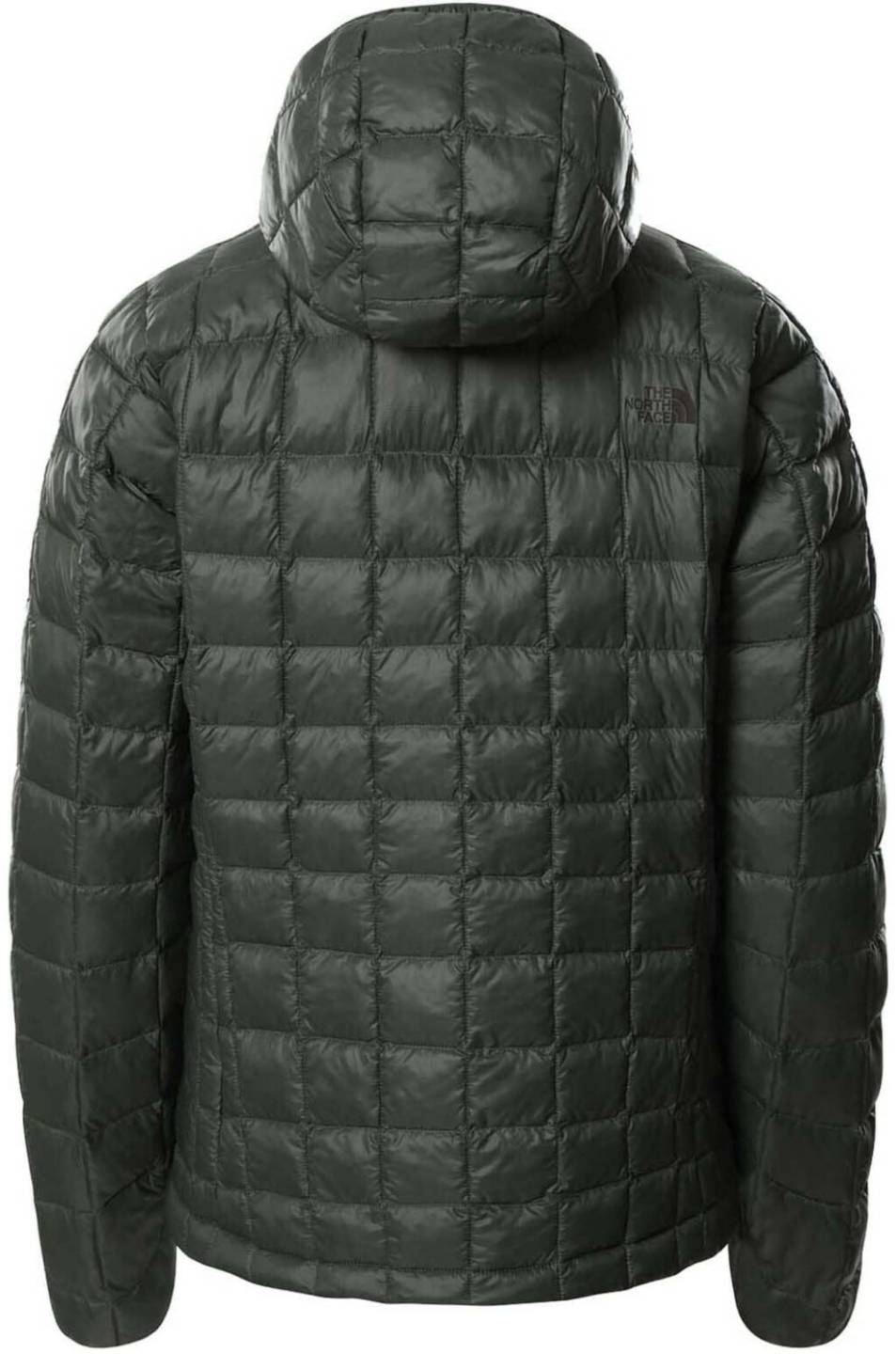 Outdoorbekleidung The North Face Womens ThermoBall Eco Hoodie(5GLC) thyme