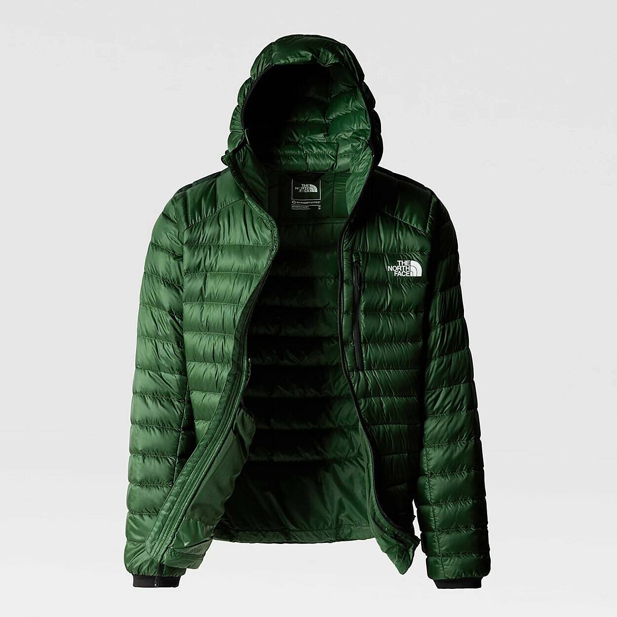 The North Face Summit Breithorn HoodiePine Needle green Outdoorbekleidung